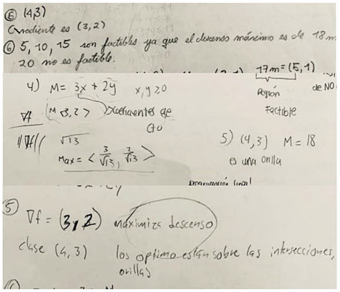 Alumnos encontrando el &oacute;ptimo por inspecci&oacute;n visual