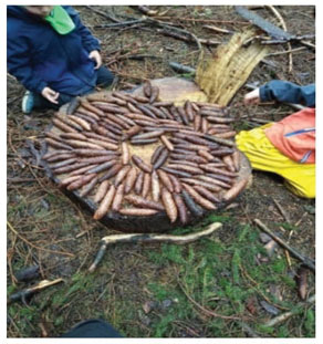 Actividad de área. Elaboración propia