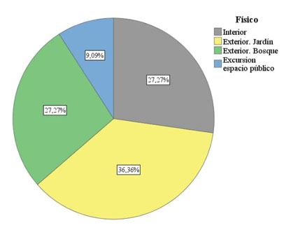 Gráfico de sectores asociado a la dimensión “Físico”