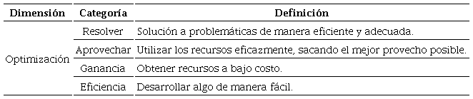 Categorías emergentes para definir la interpretación de optimización a partir de definiciones elaboradas por los y las adolescentes