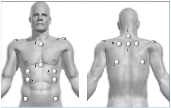 1: manubrium; 2: acromion; 3: xiphoid process; 4: point below the nipple (half the distance between nipple and last false rib); 5: last false rib (intersection of the nipple line with the last false rib line); 6: anterior superior iliac spine (ASIS); 7: spinous process of C7; 8: superior angle of the scapula; 9: spinous process of T3; 10: inferior angle of the scapula.