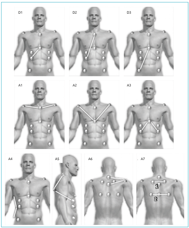 D1: xiphoid - last false rib on the right and left sides; D2: manubrium - last false rib on the right and left sides; D3: xiphoid - anterior superior iliac spine on the left and right sides; A1: right acromion / manubrium / left acromion; A2: right acromion / xiphoid / left acromion; A3: last false right rib / xiphoid / last false left rib; A4: angle between the deepest point of the waist and upper and lower edges of the waist; A5: point below the nipple / inferior angle of the scapula / right and left acromion; A6: C7 / acromion right and left / T3 ; A7: angle formed by the intersection of the tangent segments of the upper and lower scapulae angles.