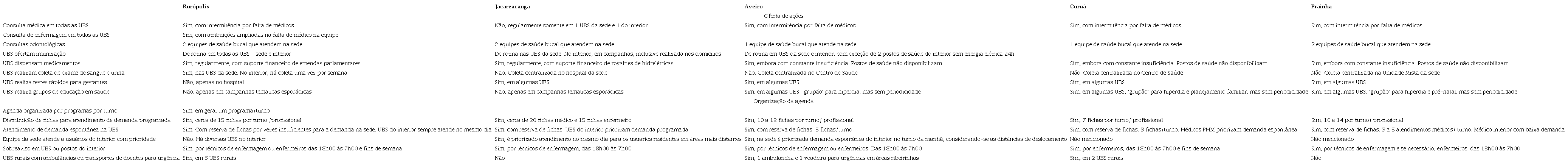 Escopo de práticas e organização da agenda nos municípios rurais
							remotos selecionados, Oeste do Pará, Brasil, 2019
