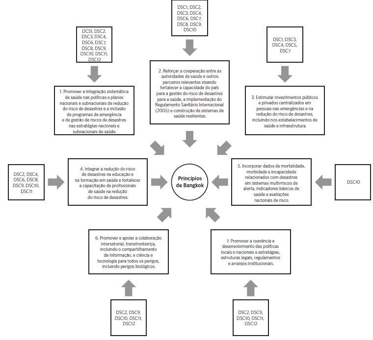 Princ&iacute;pios de Bangkok associados aos DSC constru&iacute;dos na
                            pesquisa