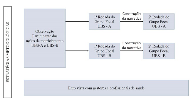 Síntese das estratégias metodológicas