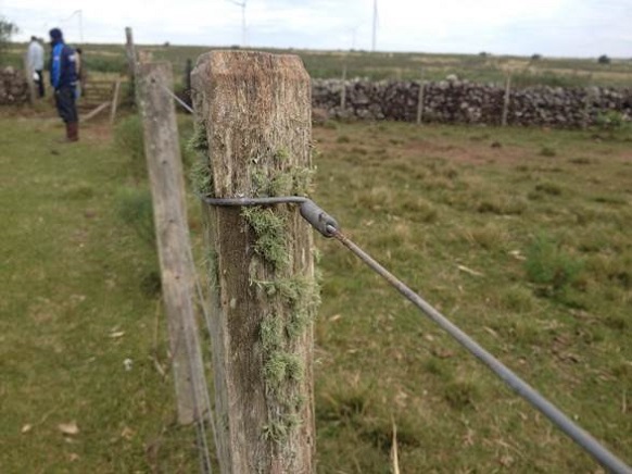 Detail of a palanque. In the background we see the remains of a stone fence. Est&acirc;ncia Renascen&ccedil;a, Santana do Livramento (Rio Grande do Sul, Brazil). May 2016.
