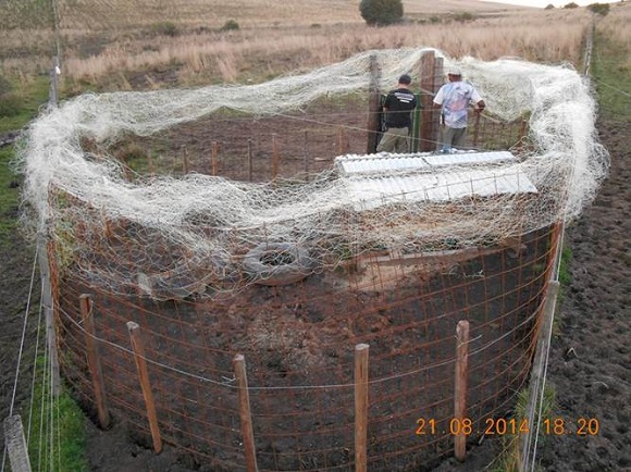 corral-trap for capturing wild boars which makes use of the corner of a former alambrado, Est&acirc;ncia S&atilde;o Marcos, Ros&aacute;rio do Sul (Rio Grande do Sul, Brazil), August 2014.