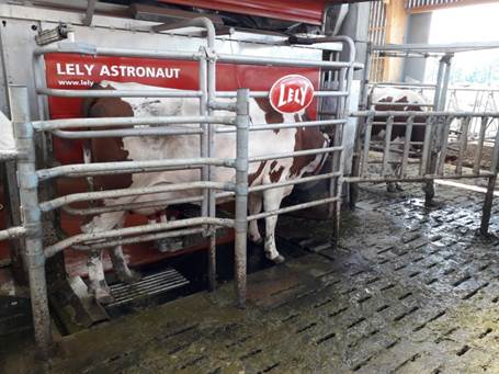 Milking robot, cows beside it...