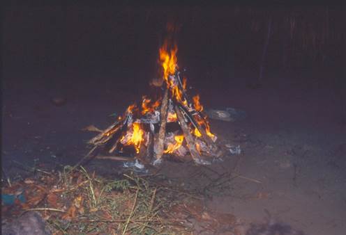 jape&acute;e made by Tapira nearly completely fired