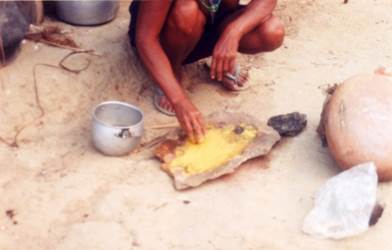 preparing the yellow (itaua) and red (tauapirygĩ) pigments