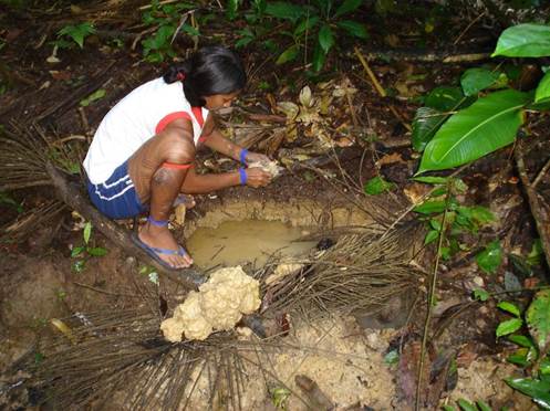 Ipikiri collecting clay