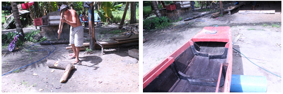 Caves made from mangrove sapateiro