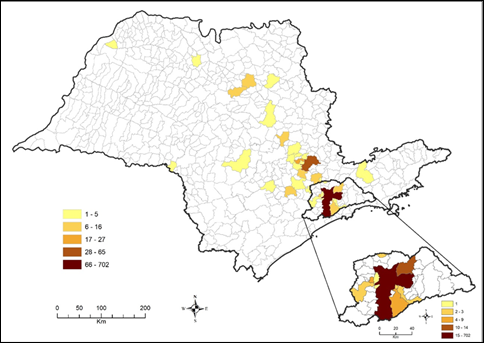 Imigrantes internacionais participantes da pesquisa por município de residência. Região Metropolitana de São Paulo (n=743) e Interior do Estado de São Paulo (n=203), 2020