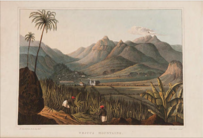 Henry Chamberlain, “Tejuca Mountains”, 1821, água-tinta e aquarela sobre papel.