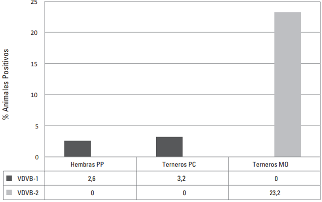 Porcentaje de bovinos positivos por RT-PCR para el VDVB-1 y VDVB-2 en fincas del Valle del Cauca. PP: Preparto, PC: Precalostral, MO: Muesca de oreja.