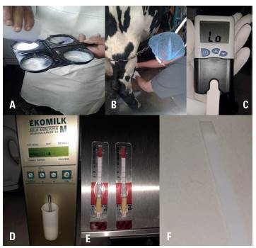 A: prueba CMT, B: recolecci&oacute;n de muestras, C: lector digital Recuento de C&eacute;lulas Som&aacute;ticas, D: analizador de leche Ekomilk, E: prueba negativa para antibi&oacute;ticos, F: prueba negativa para per&oacute;xidos.