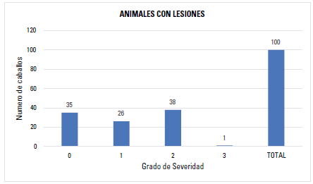 Porcentajes de distribución de animales con lesiones según grado de severidad de las úlceras gástricas en caballos criollos colombianos del Valle de Aburrá.