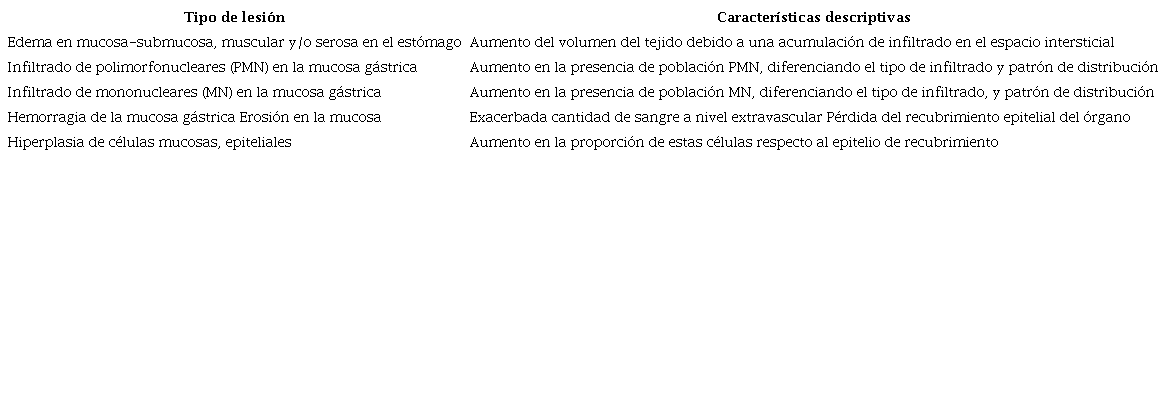 Sistema de clasificación microscópica de las lesiones en el síndrome de la úlcera gástrica del caballo.