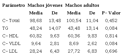 Valores de l&iacute;pidos entre machos.