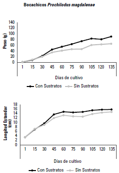 Desempe&ntilde;o en peso (g) y longitud est&aacute;ndar (cm) del bocachico Prochilodus magdalenae en el sistema de agro acuicultura integrada, con y sin el uso de sustratos durante el cultivo (p < 0,05).