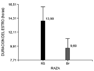 Distribución promedio de la duración del estro en las razas RS y Br