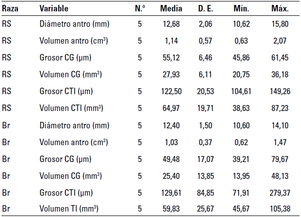 Distribución de promedios de las medidas foliculares de longitud y volumen en folículos preovulatorios de las razas RS y Br