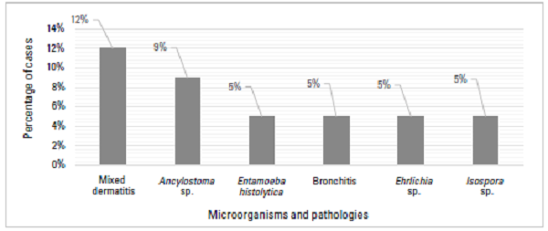 Microorganisms and pathologies with the highest percentage of cases in canines seen at the veterinary clinic during 2017 and 2018