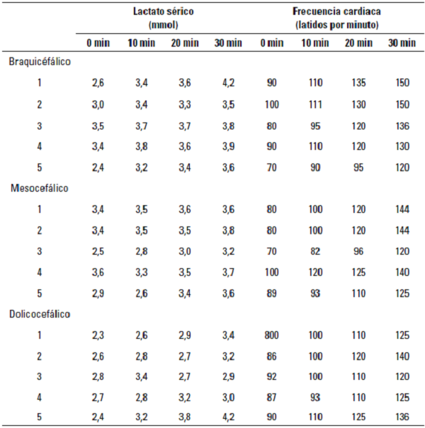 Niveles de lactato s&eacute;rico y frecuencia cardiaca en pacientes caninos sometidos a la prueba de esfuerzo en treadmill