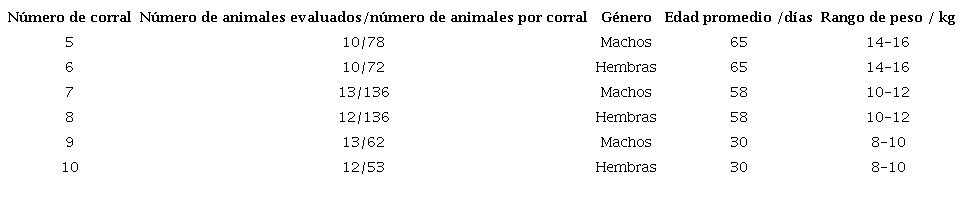 1. Poblaci&oacute;n de estudio. Cerdos en fase preceba de una granja de la vereda Las Playas del corregimiento de San Antonio de Prado (Medell&iacute;n)