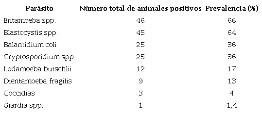 Prevalencia de Dientamoeba fragilis y otros protozoarios intestinales en cerdos en fase de preceba de una granja del corregimiento de San Antonio de Prado (Medell&iacute;n)