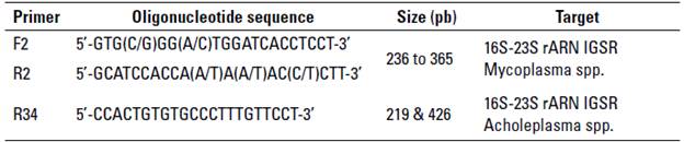Primers used for the PCR targeting the 16S-23S rARN intergenic spacer regions (IGSR) of Mycoplasma spp. and Acholeplasma spp.