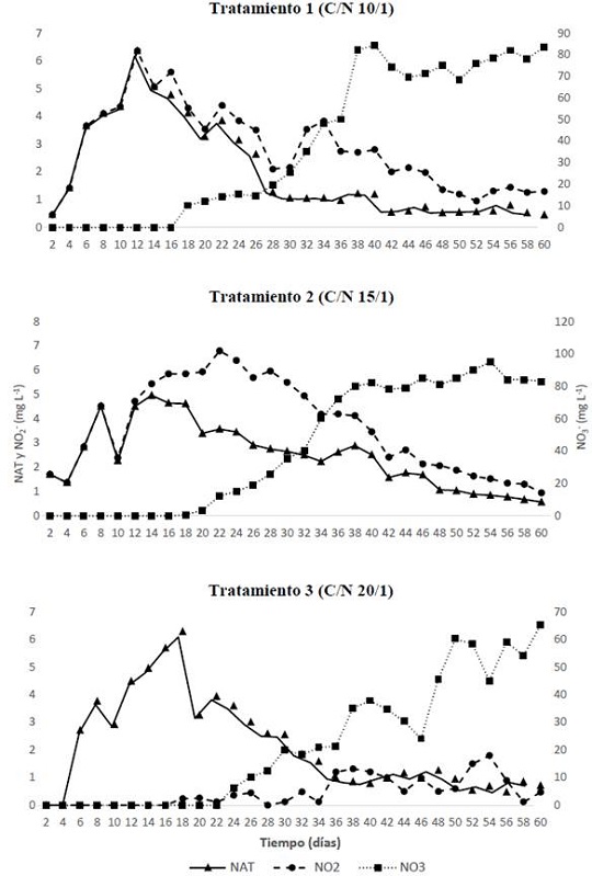 Secuencia de procesos de nitrificación en la estabilización del biofloc a tres relaciones C/N.