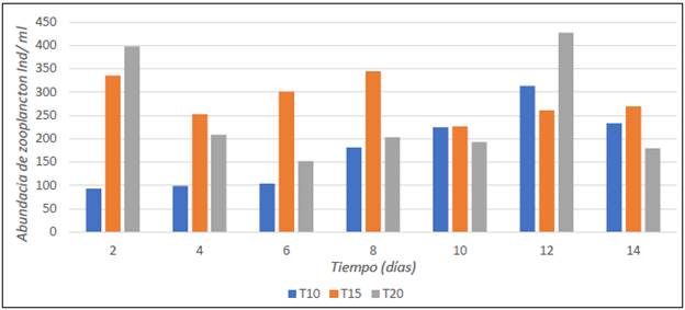 Abundancia de microorganismos del zooplancton (individuos/ml) en biofloc a tres diferentes relaciones C/N durante los últimos 14 días de estabilización.