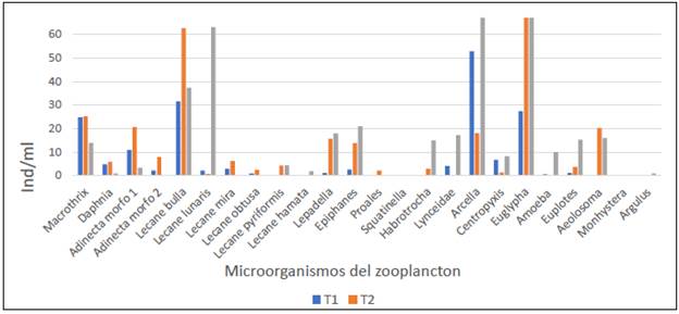 Abundancia de microorganismos del zooplancton por especie (ind/ml) en biofloc a tres diferentes relaciones C/N durante los últimos 14 días de estabilización.