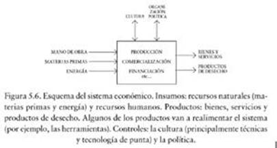 Esquema del sistema econ&oacute;mico. 