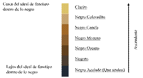 Gradación de color de las gentes negras según estudiantes.