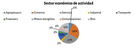 Caracterización por sector económico