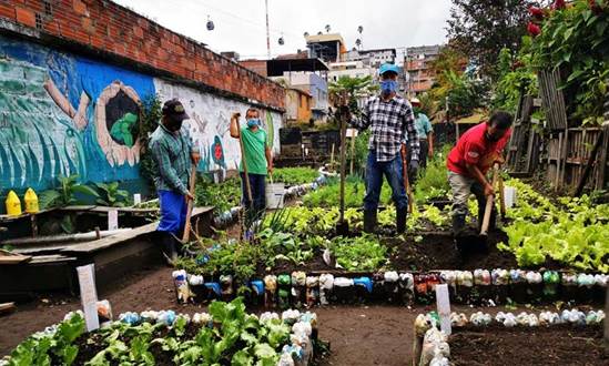 Microterritorio HUC: Lechugas tejiendo comunidad.