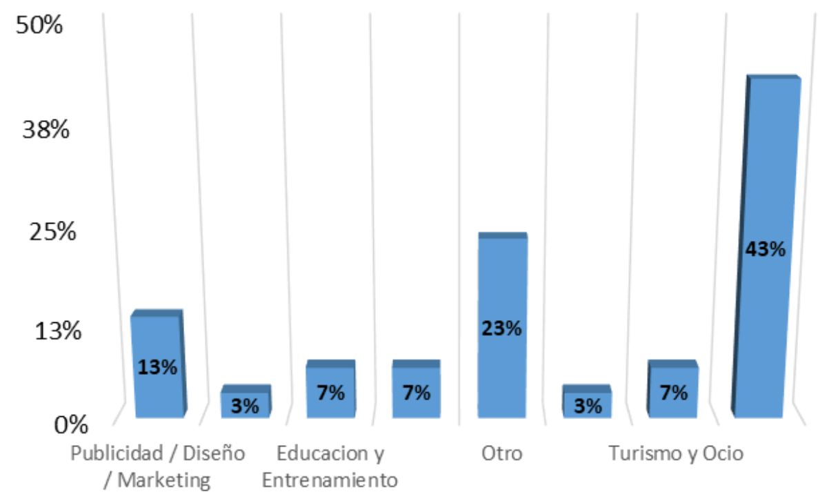 Sector econmico emprendimientos actuales