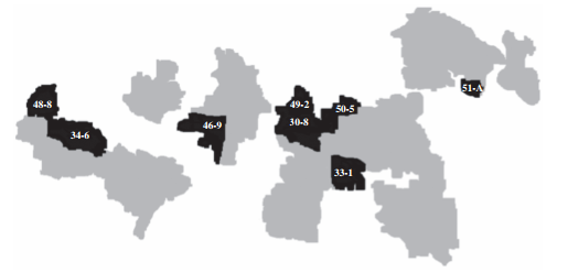 ZCP en Milpa Alta2010: en obscuro