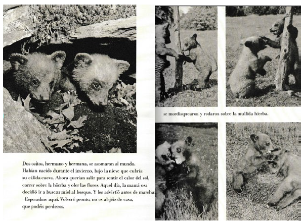 Doble página interior de Dos ositos