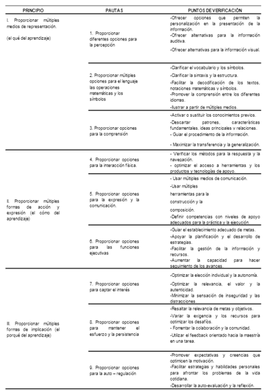 Principios fundamentales del DUA