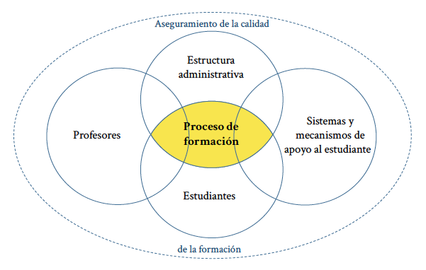 Elementos para asegurar la calidad del proceso de formacin.