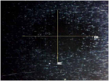 Medici&oacute;n de la huella de desgaste del recubrimiento DLC/Si
mediante microscopia &oacute;ptica.