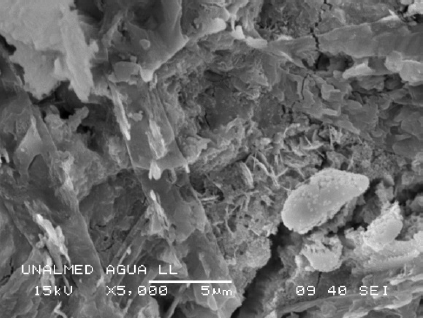 Microscopía de agua lluvia; 5000 X.