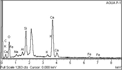 Análisis químico por microscopía de barrido electrónico;
agua potabilizada.