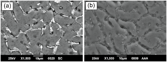 SEM micrographs of FZ: a) sample 8 (50 % CW, I 140 A, S 223
mm/min), b) sample 7 (50 % CW, I 125 A, S 305 mm/min). Etched HF 2 %,
magnification 1500X.