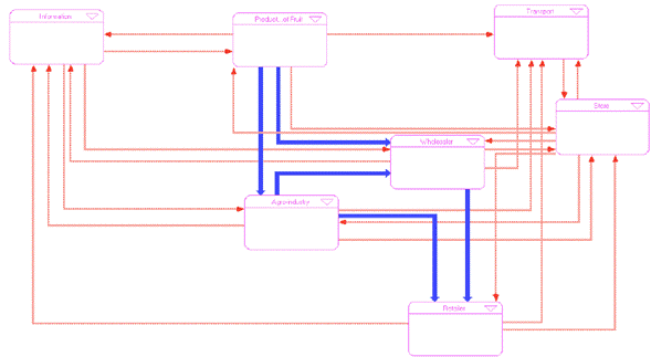 Structure of the model of the fruits chain.