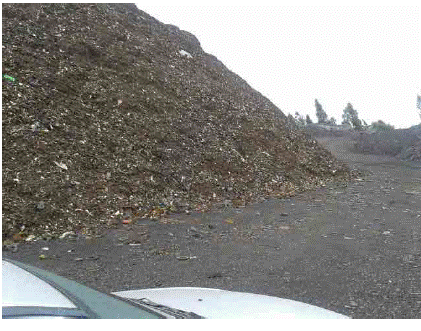 Pile of shredded scrap waste. Source: SIDENAL S.A.