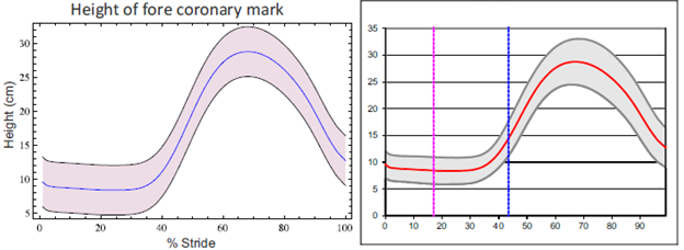 4 Joint angle values vs. time (% stride); mathematical model (left) and experimentally (right).